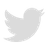 X (Twitter)